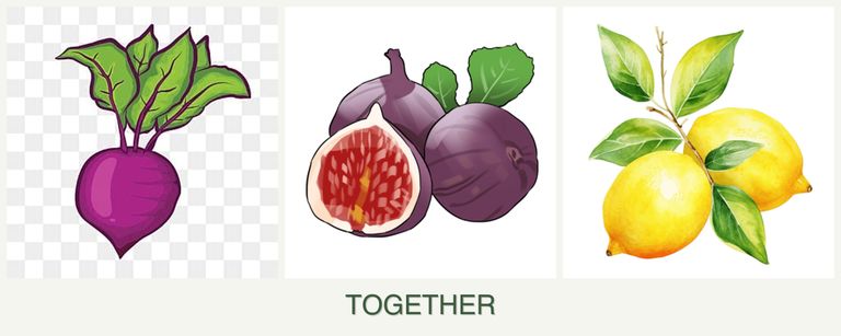 Can you plant beets, figs and lemons together?