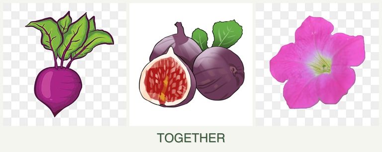 Can you plant beets, figs and petunias together?