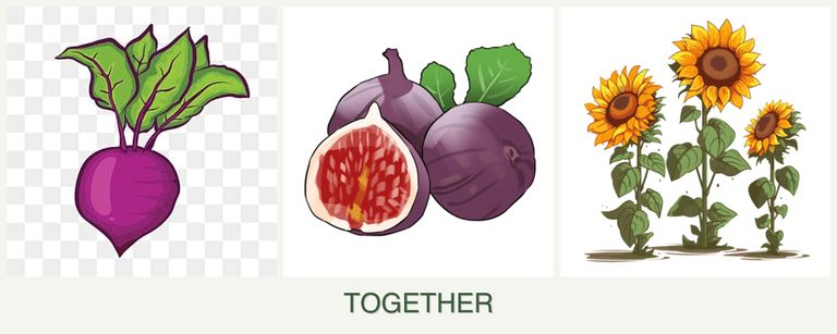 Can you plant beets, figs and sunflowers together?