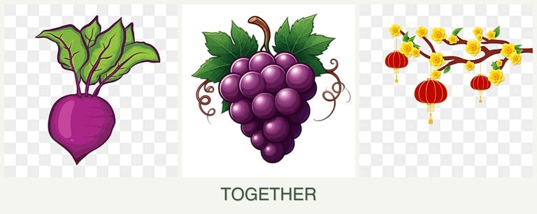 Can you plant beets, grapes and apricots together?