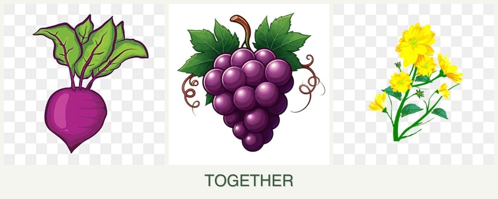Can you plant beets, grapes and calendula together?