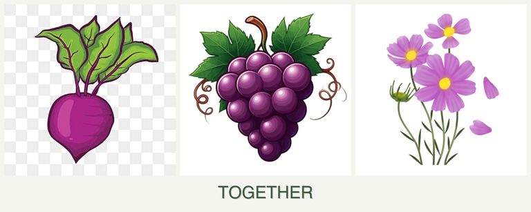 Can you plant beets, grapes and cosmos together?