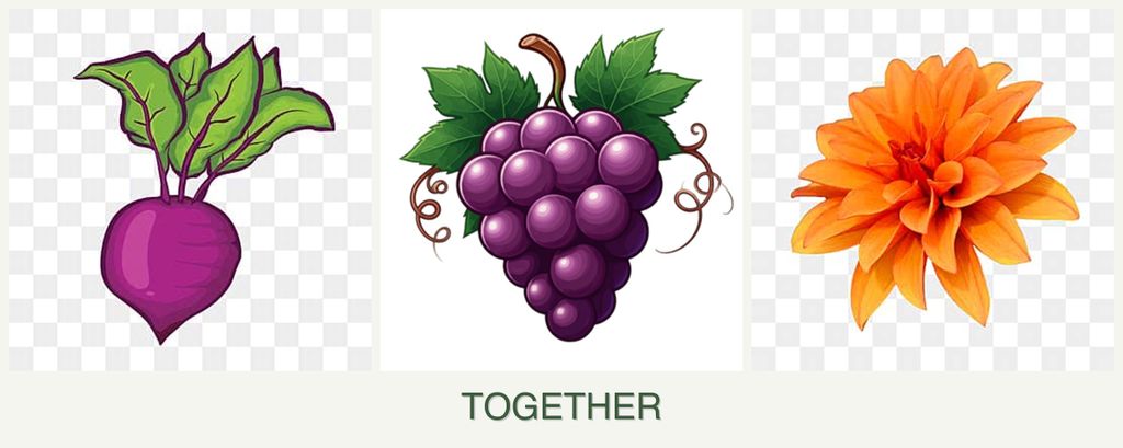 Can you plant beets, grapes and dahlias together?