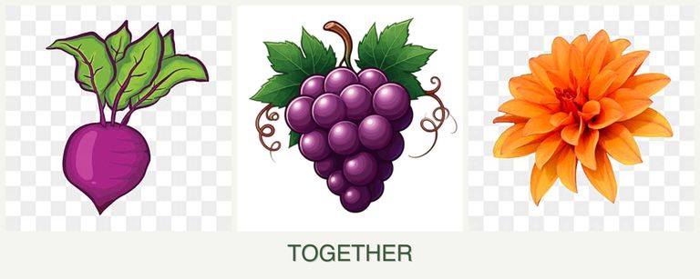 Can you plant beets, grapes and dahlias together?