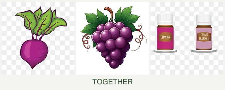 Can you plant beets, grapes and geraniums together?