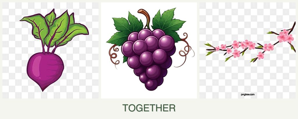 Can you plant beets, grapes and peaches together?