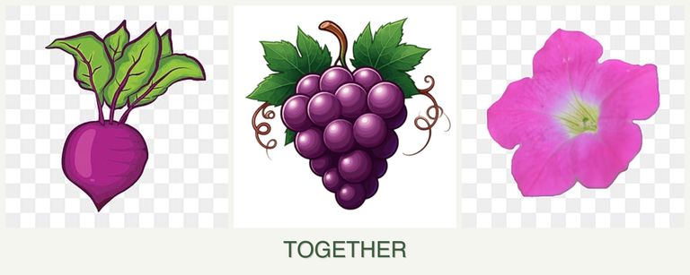 Can you plant beets, grapes and petunias together?