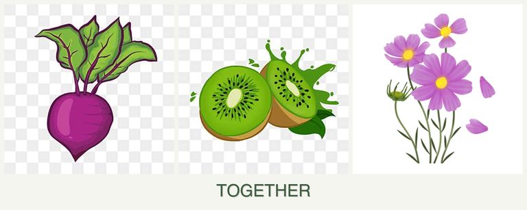 Can you plant beets, kiwi and cosmos together?