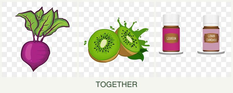 Can you plant beets, kiwi and geraniums together?