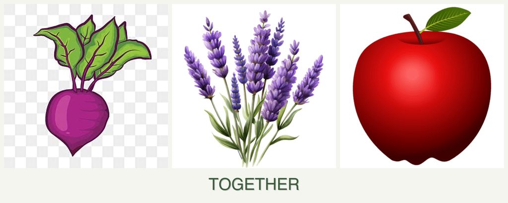 Can you plant beets, lavender and apples together?