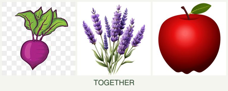 Can you plant beets, lavender and apples together?