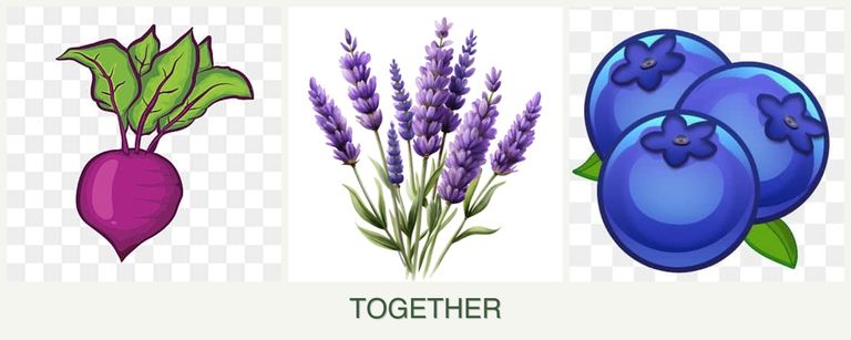 Can you plant beets, lavender and blueberries together?