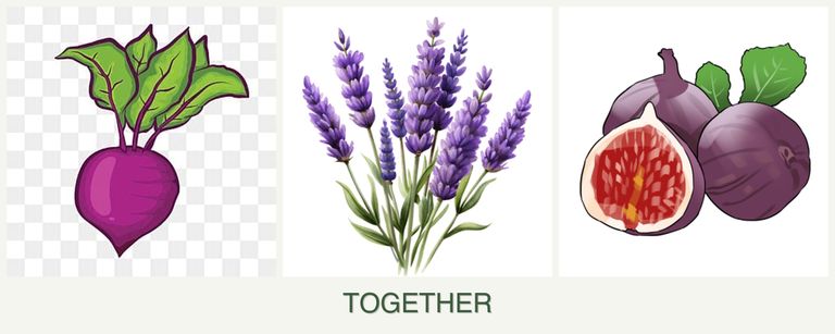 Can you plant beets, lavender and figs together?