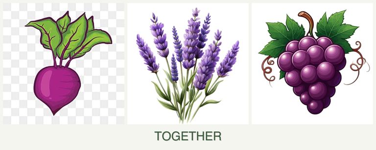 Can you plant beets, lavender and grapes together?