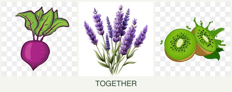 Can you plant beets, lavender and kiwi together?