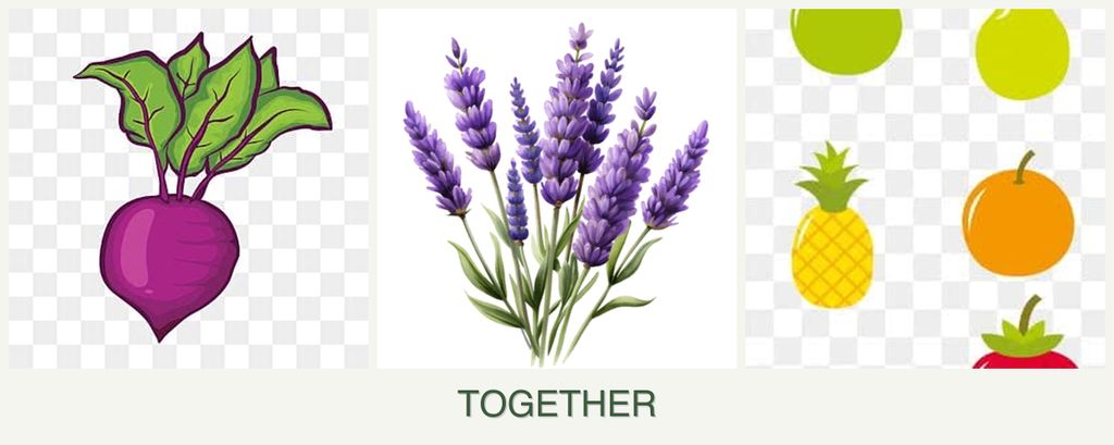 Can you plant beets, lavender and pears together?