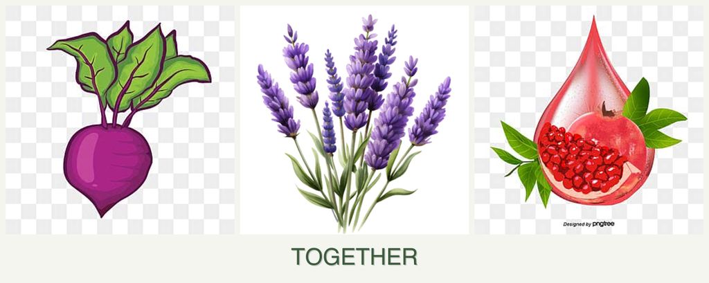 Can you plant beets, lavender and pomegranates together?