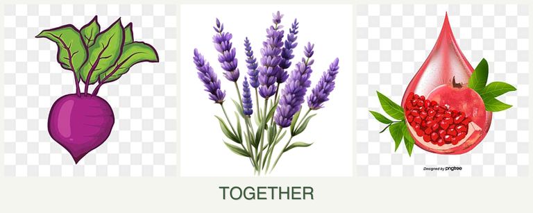 Can you plant beets, lavender and pomegranates together?