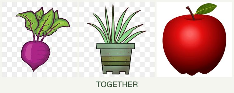 Can you plant beets, lemongrass and apples together?