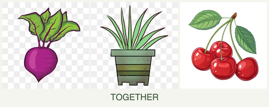 Can you plant beets, lemongrass and cherries together?