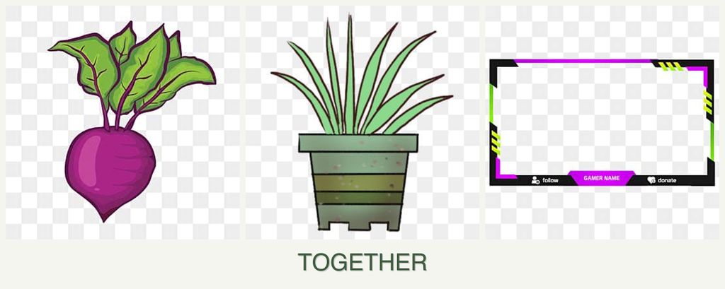Can you plant beets, lemongrass and limes together?