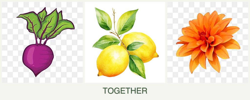 Can you plant beets, lemons and dahlias together?