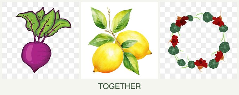 Can you plant beets, lemons and nasturtiums together?