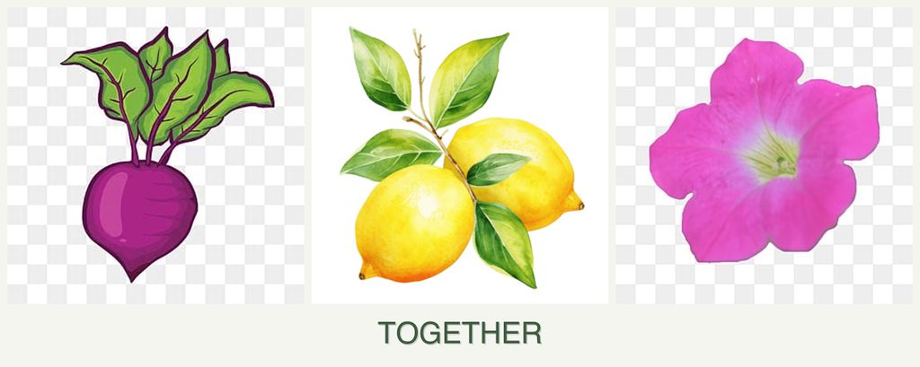 Can you plant beets, lemons and petunias together?