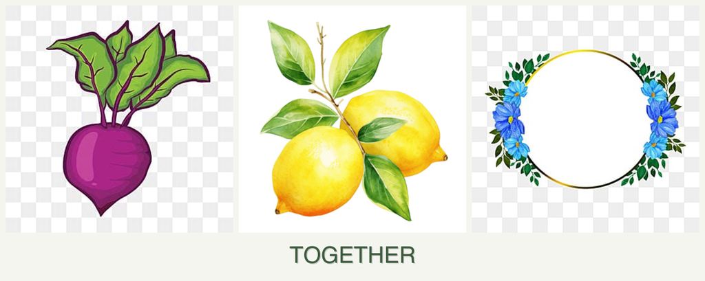 Can you plant beets, lemons and zinnias together?