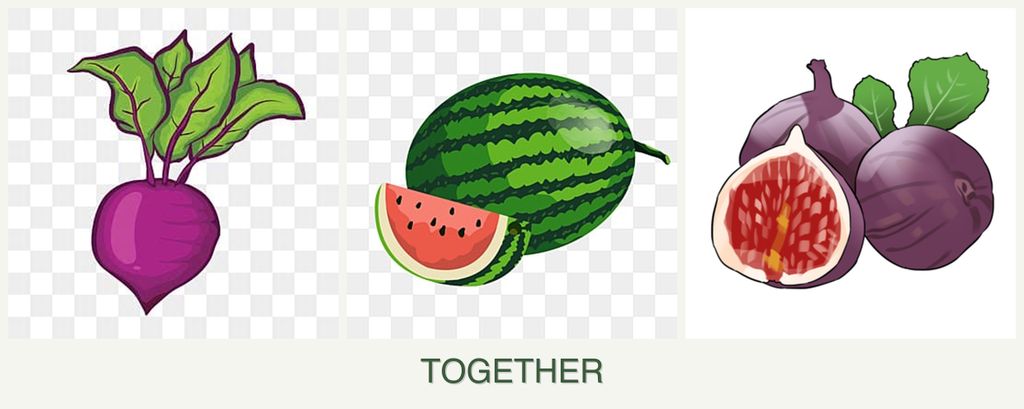 Can you plant beets, melons and figs together?