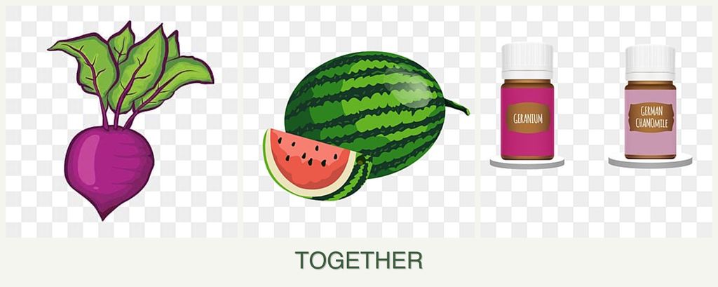 Can you plant beets, melons and geraniums together?