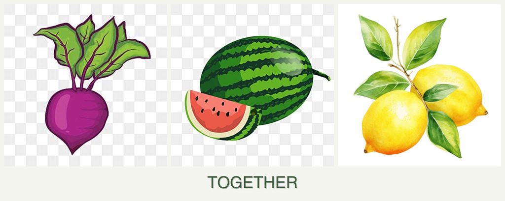 Can you plant beets, melons and lemons together?