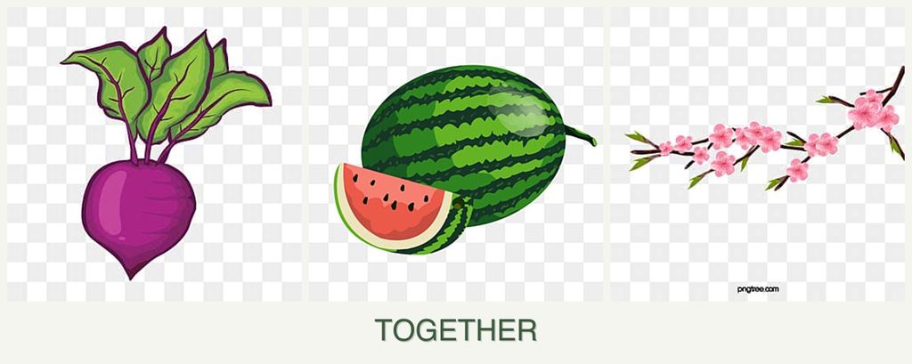 Can you plant beets, melons and peaches together?