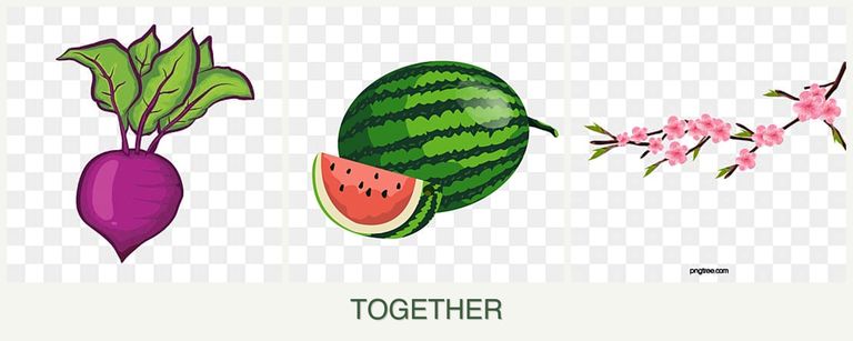 Can you plant beets, melons and peaches together?