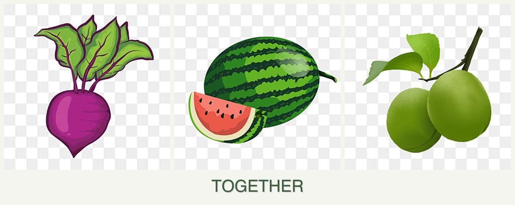 Can you plant beets, melons and plums together?