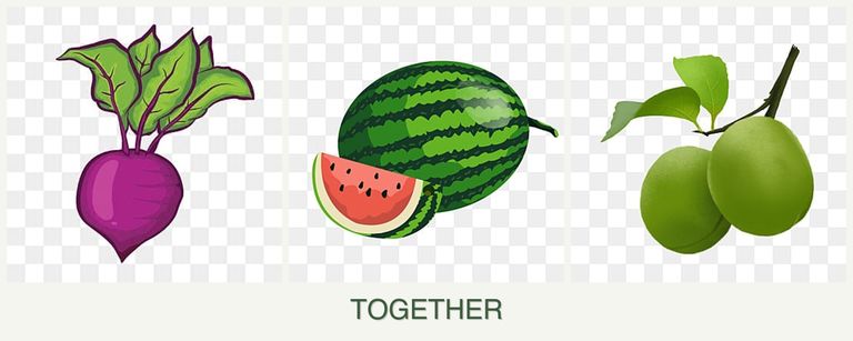 Can you plant beets, melons and plums together?