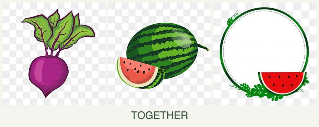 Can you plant beets, melons and watermelons together?
