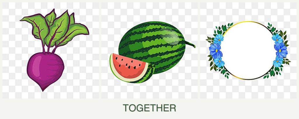 Can you plant beets, melons and zinnias together?