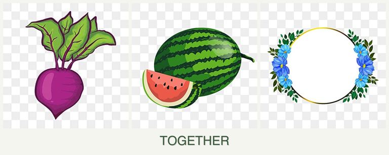 Can you plant beets, melons and zinnias together?