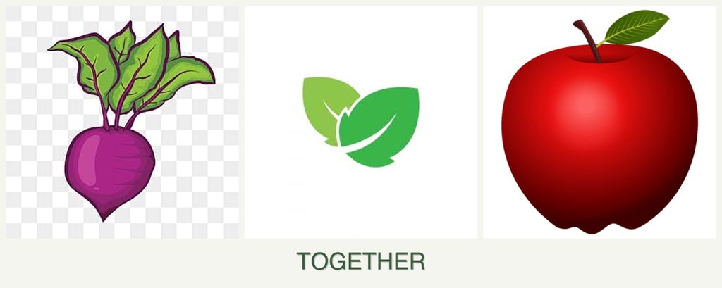 Can you plant beets, mint and apples together?