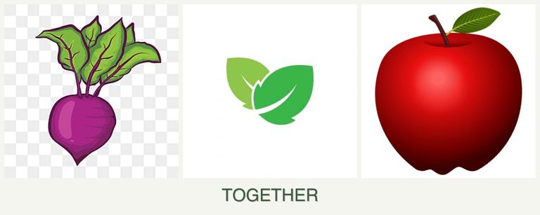 Can you plant beets, mint and apples together?