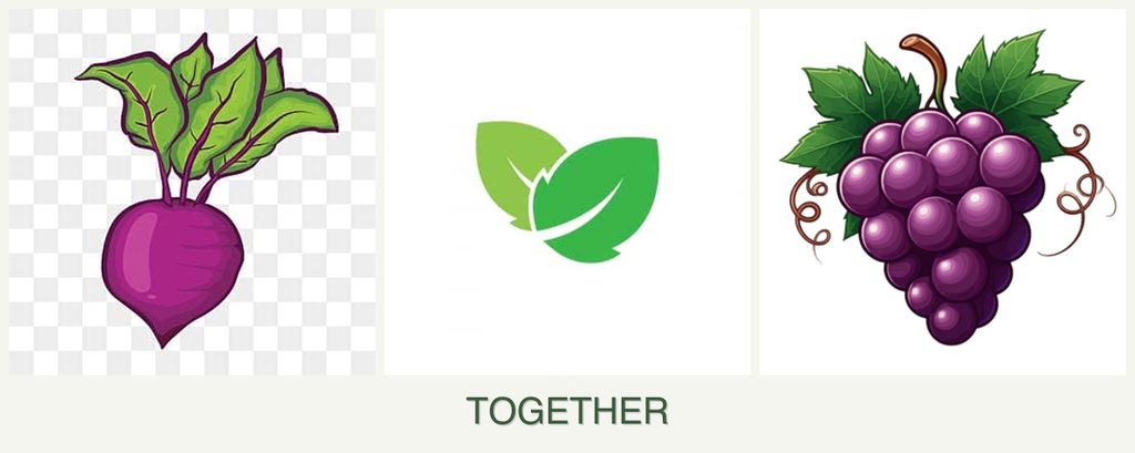 Can you plant beets, mint and grapes together?