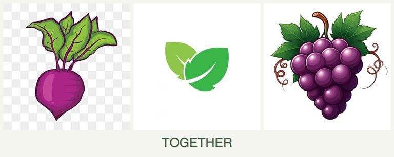 Can you plant beets, mint and grapes together?