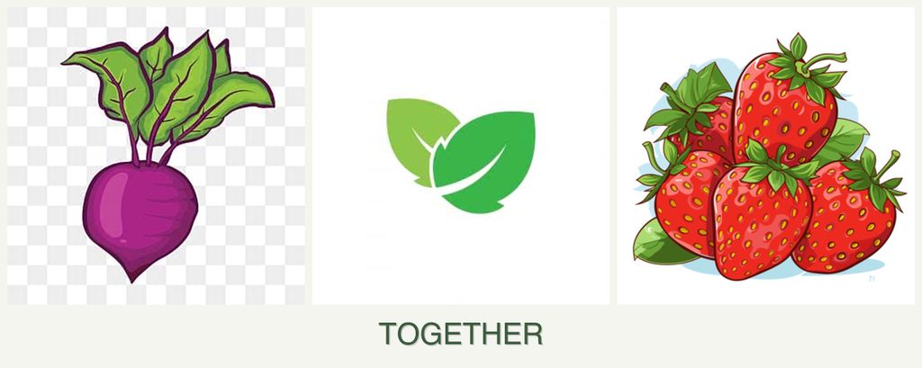 Can you plant beets, mint and strawberries together?