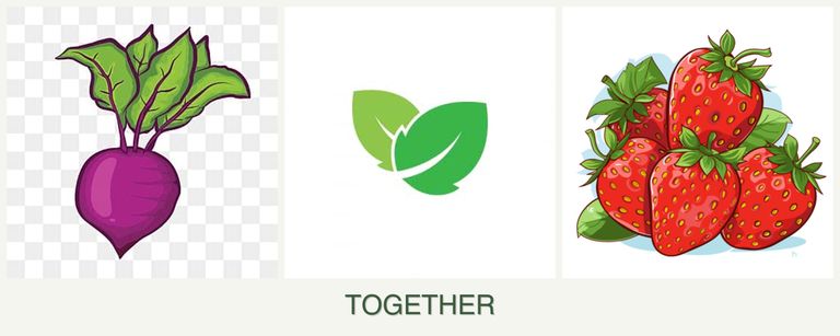 Can you plant beets, mint and strawberries together?