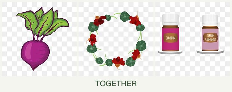 Can you plant beets, nasturtiums and geraniums together?