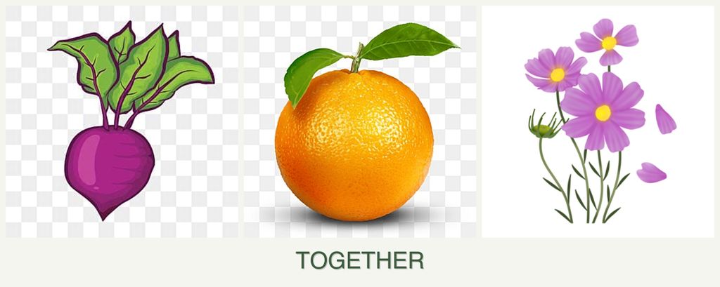 Can you plant beets, oranges and cosmos together?