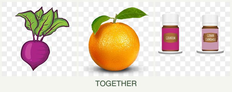 Can you plant beets, oranges and geraniums together?
