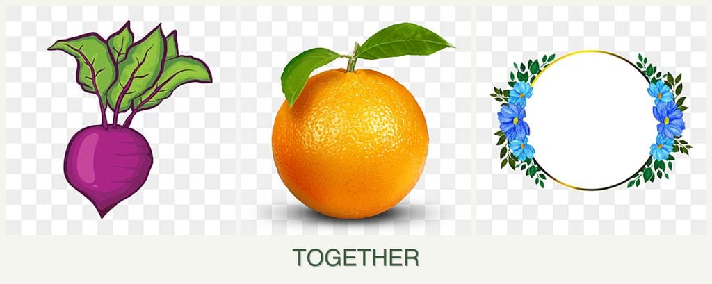 Can you plant beets, oranges and zinnias together?