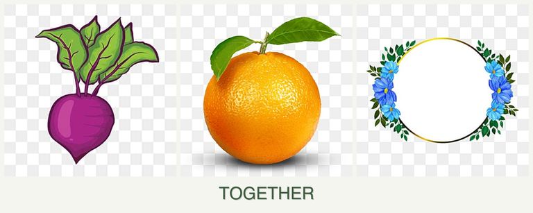 Can you plant beets, oranges and zinnias together?